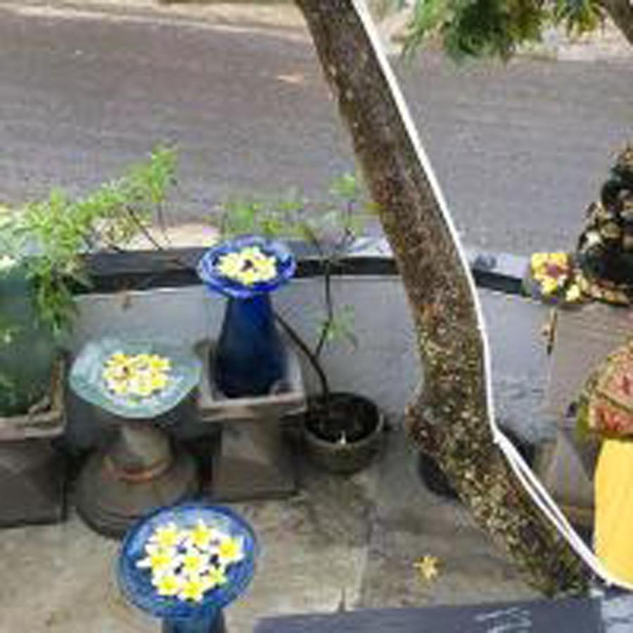 Bulan Bali Guest House ウブド エクステリア 写真